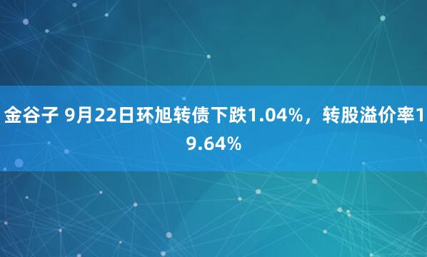 金谷子 9月22日环旭转债下跌1.04%，转股溢价率19.64%