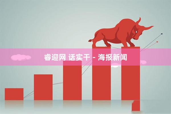 睿迎网 话实干 - 海报新闻