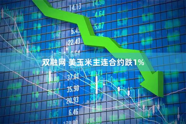 双融网 美玉米主连合约跌1%
