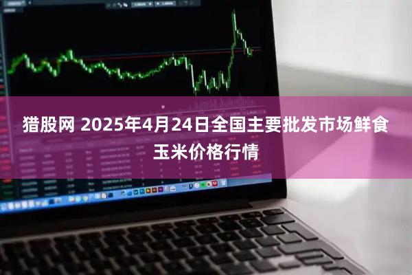 猎股网 2025年4月24日全国主要批发市场鲜食玉米价格行情